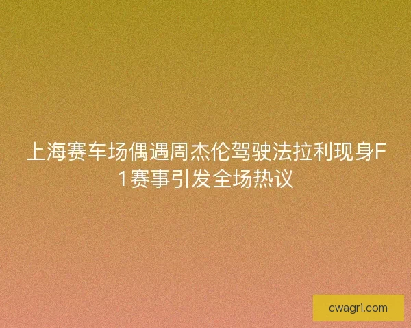 上海赛车场偶遇周杰伦驾驶法拉利现身F1赛事引发全场热议 上海赛车场偶遇周杰伦驾驶法拉利现身F1赛事引发全场热议