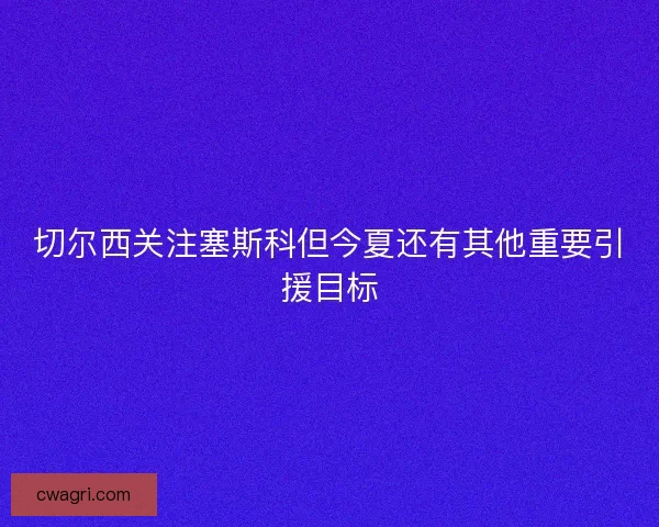 切尔西关注塞斯科但今夏还有其他重要引援目标