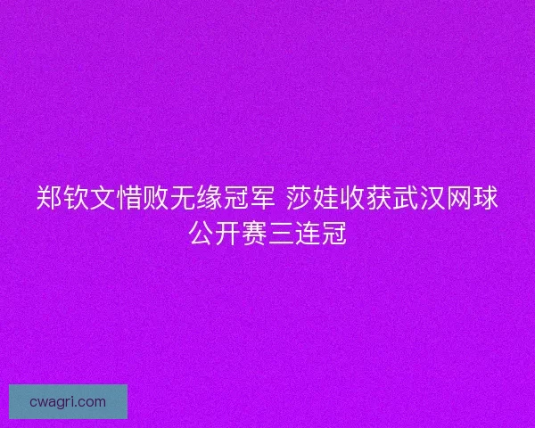 郑钦文惜败无缘冠军 莎娃收获武汉网球公开赛三连冠 郑钦文惜败无缘冠军 莎娃收获武汉网球公开赛三连冠
