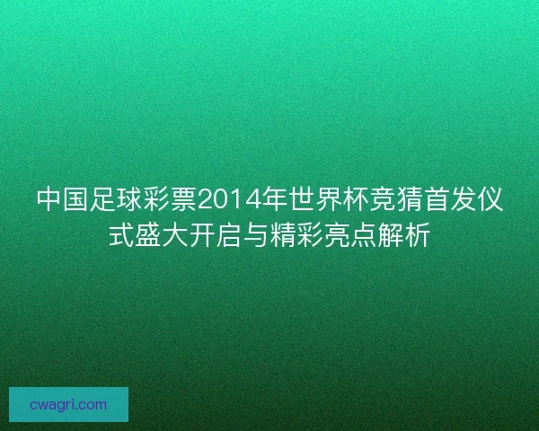 中国足球彩票2014年世界杯竞猜首发仪式盛大开启与精彩亮点解析 中国足球彩票2014年世界杯竞猜首发仪式盛大开启与精彩亮点解析