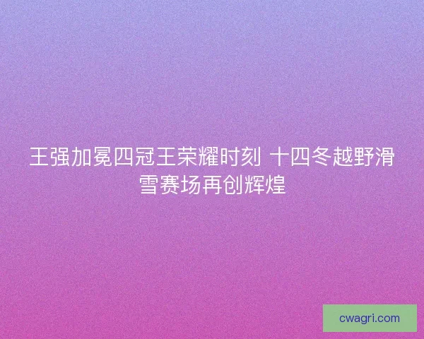 王强加冕四冠王荣耀时刻 十四冬越野滑雪赛场再创辉煌 王强加冕四冠王荣耀时刻 十四冬越野滑雪赛场再创辉煌