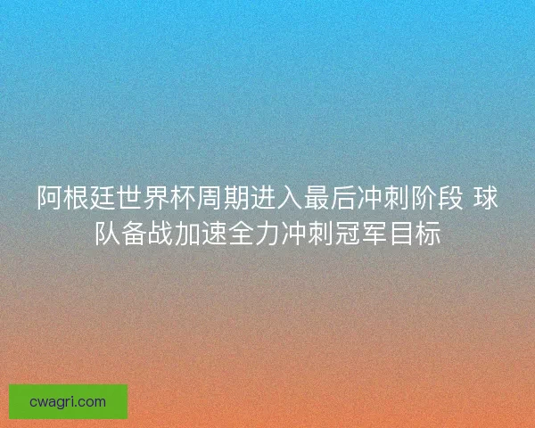 阿根廷世界杯周期进入最后冲刺阶段 球队备战加速全力冲刺冠军目标