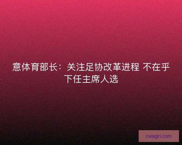 意体育部长：关注足协改革进程 不在乎下任主席人选